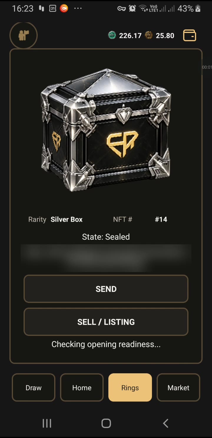 Silver Box details in the Public Alpha